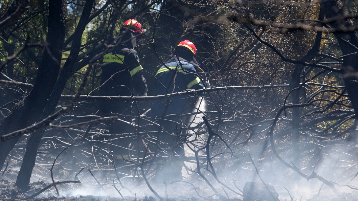 Προφυλακιστέος ο 24χρονος πυρομανής - Έβαλε 16 φωτιές στην Αττική
