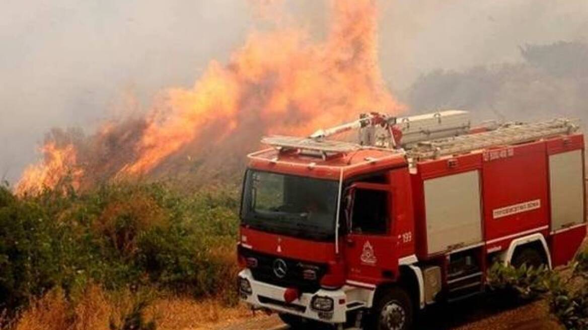 Αγρίνιο: Φωτιές στα Αμπέλια και τη Ρίγανη Αιτωλοακαρνανίας	