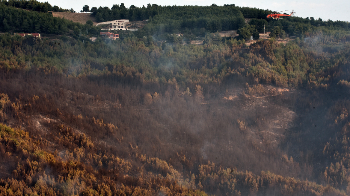 Ανατολική Αττική: Ξεκινούν αυτοψίες σε πληγείσες επιχειρήσεις από την πυρκαγιά
