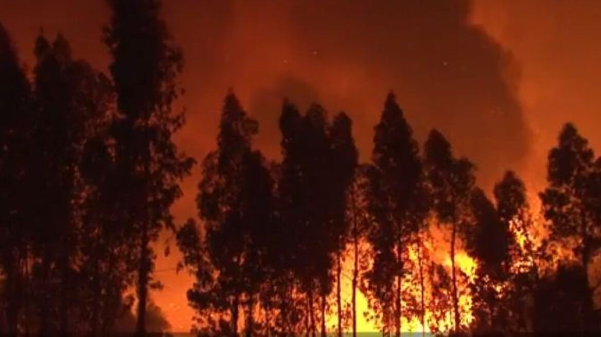 Πορτογαλία: 91 συλλήψεις υπόπτων για εμπρησμούς μέσα στο 2017!