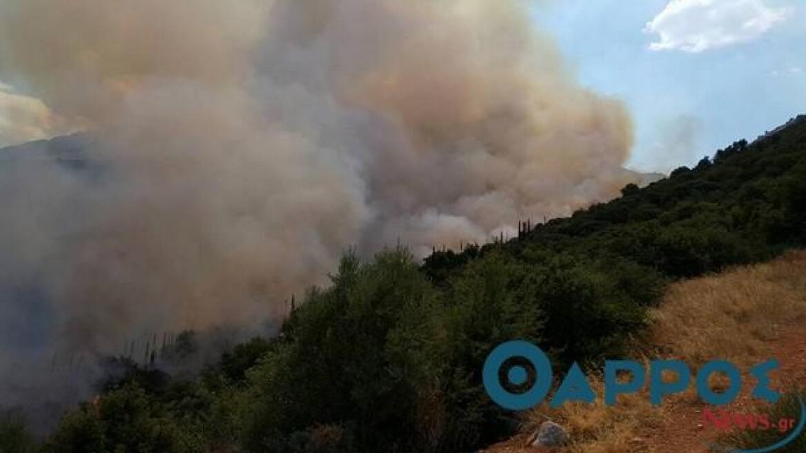 Τρία αεροσκάφη PZL στη φωτιά στην Κυπαρισσία