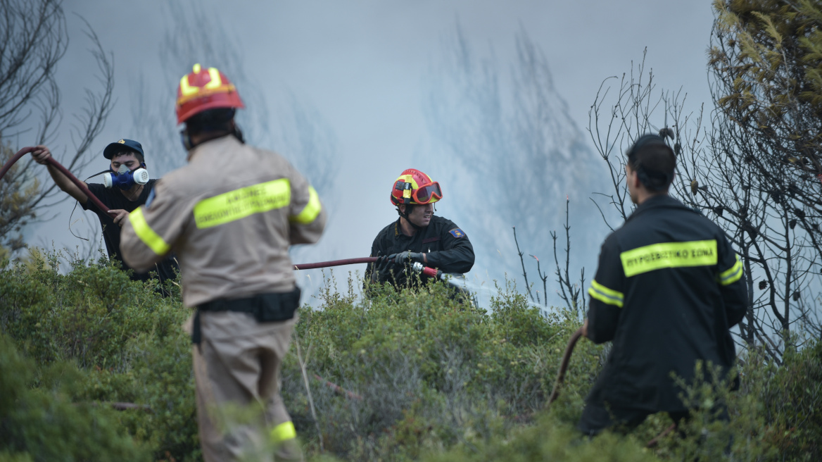Δύο φωτιές σε αγροτοδασικές εκτάσεις σε Ιωάννινα και Ηράκλειο