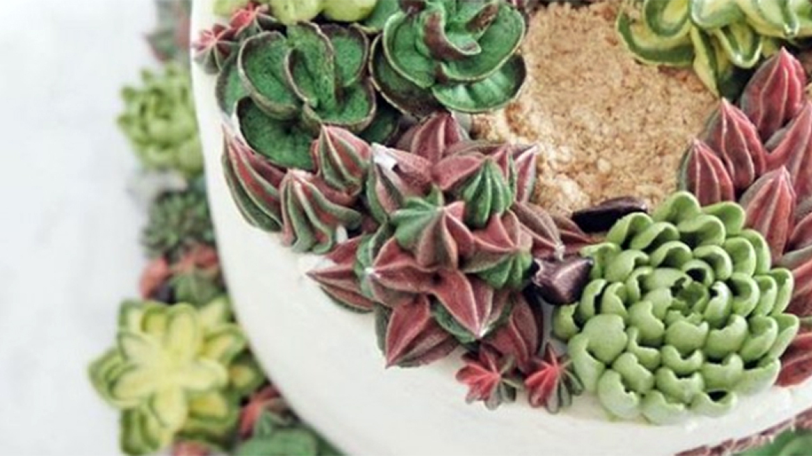 Κι όμως, αυτά τα κακτάκια τρώγονται και είναι πεντανόστιμα!