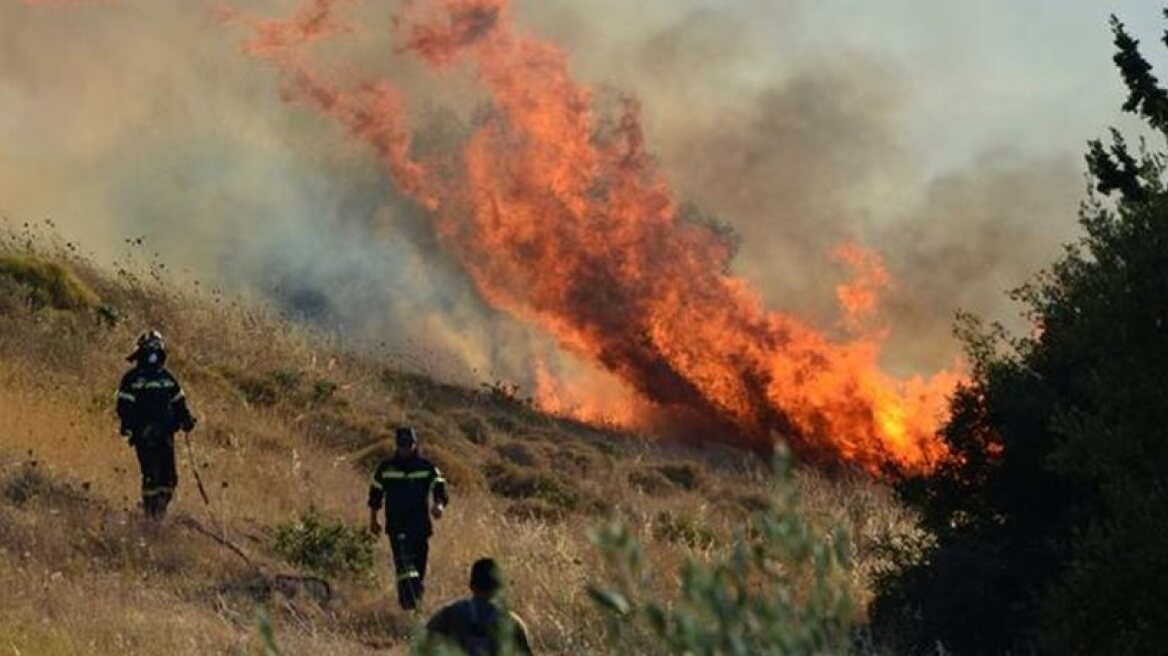 Πυρκαγιές σε περιοχές των Ιωαννίνων, της Πρέβεζας και της Αμφιλοχίας