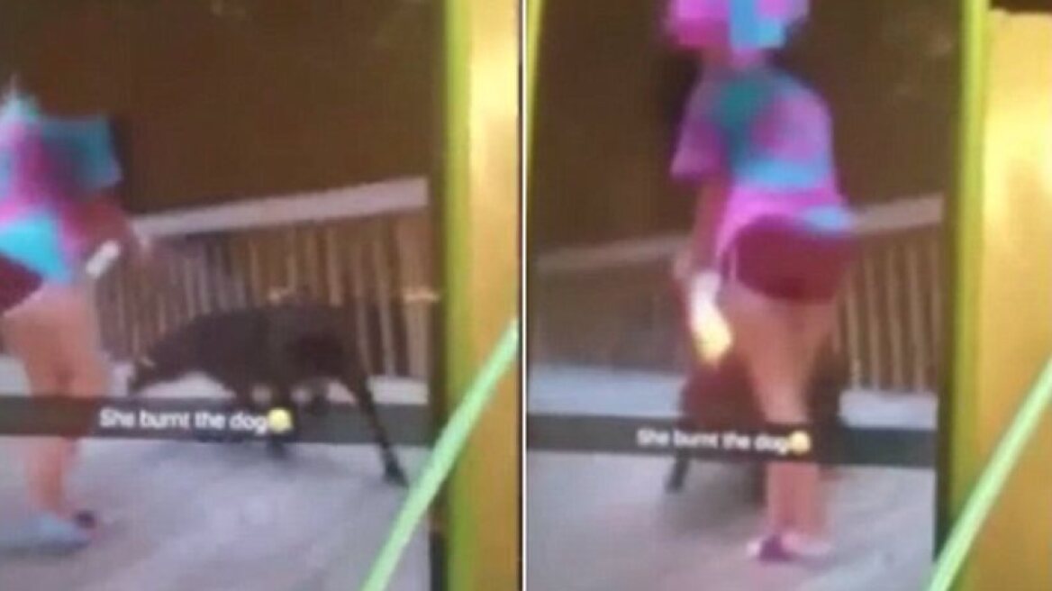 Teen bride has sex with dog while husband records it