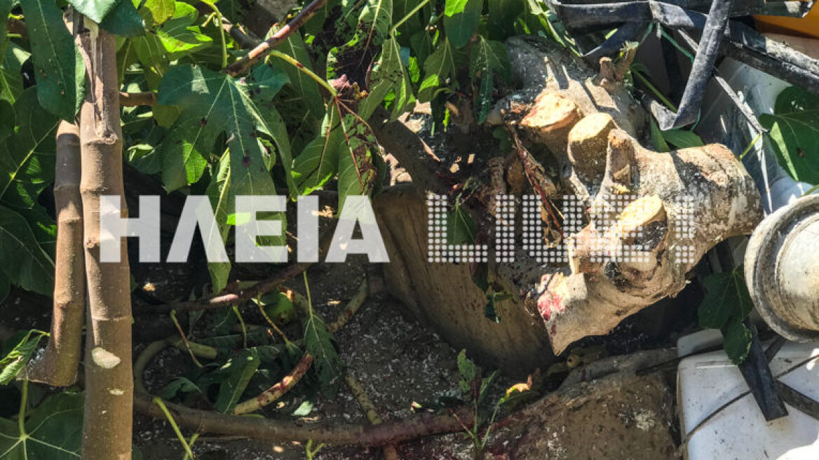 Σαμικό Ηλείας: 86χρονος έχασε τη ζωή του σε φρικτό δυστύχημα με αλυσοπρίονο