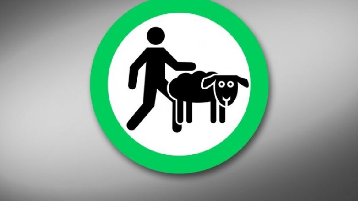 Animal...lovers! Which countries? (photos)