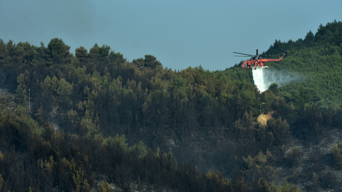 Φωτιά σε πευκοδάσος στην Πυλαία Αλεξανδρούπολης