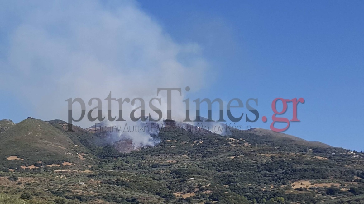 Ξέσπασε πυρκαγιά στην Άνω Καλλιθέα Αχαΐας