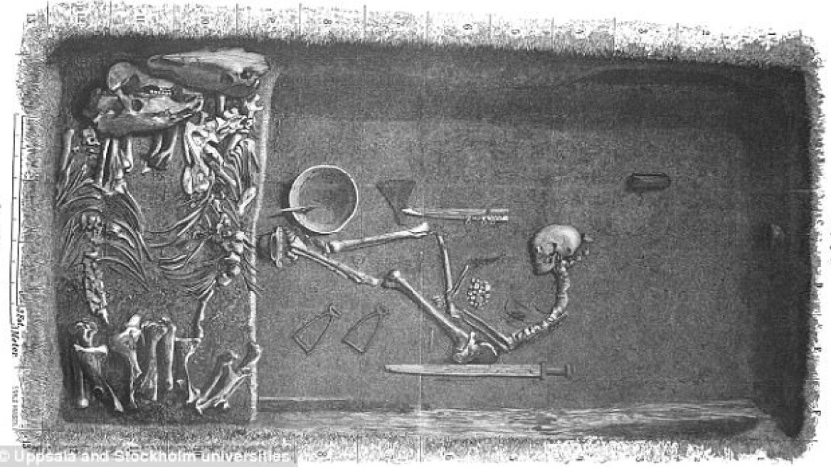 Female Viking warriors existed, DNA test proves