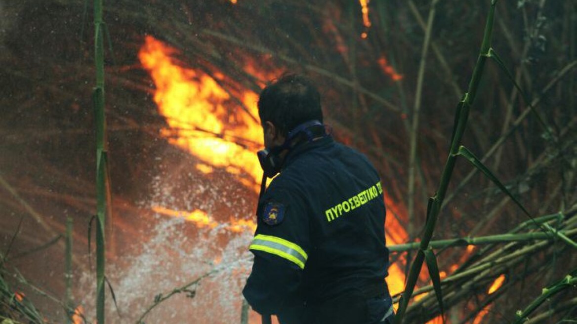 Σε ύφεση οι φωτιές στο νομό Λάρισας