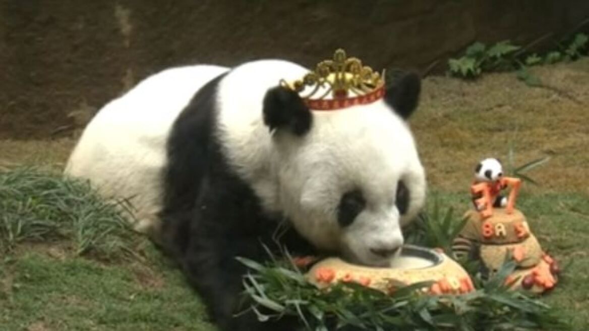 Πέθανε η Μπάσι, το γηραιότερο πάντα του κόσμου