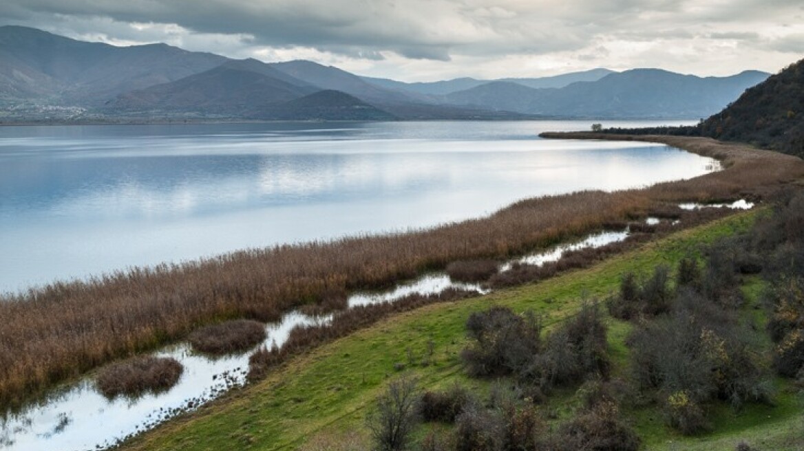 Αλβανός προσπάθησε να κάψει δάσος στις Πρέσπες