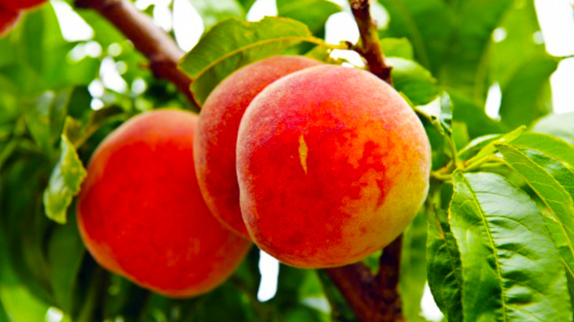 Πώς να ξεφλουδίσεις το ροδάκινο με μια μόνο κίνηση