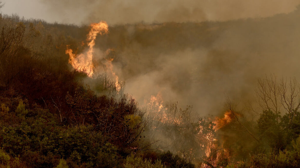 Πυρκαγιά στην περιοχή Έξαρχος στην Αταλάντη