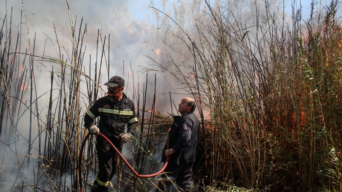 Πυρκαγιά στην Κασσάνδρα Χαλκιδικής