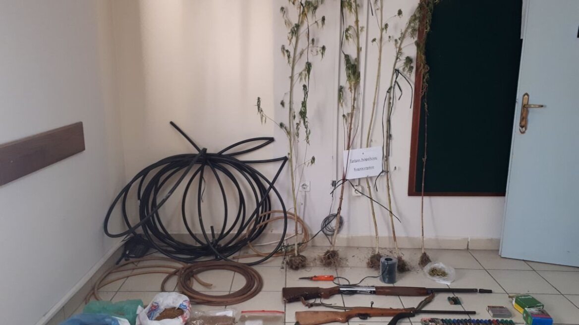 Όπλα, χασισόδεντρα και λαθραίος καπνός στο Καρπενήσι