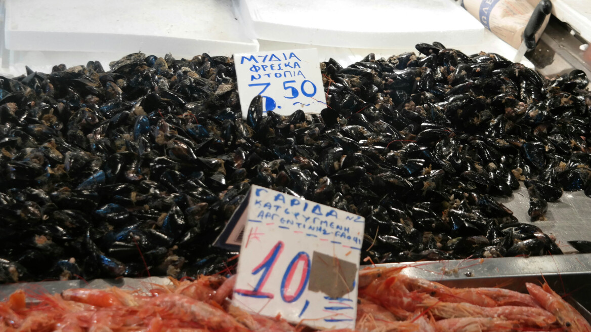 «Καθαρά» τα οστρακοειδή στον Σαρωνικό, δείχνουν οι πρώτες μετρήσεις ​του Γενικού Χημείου