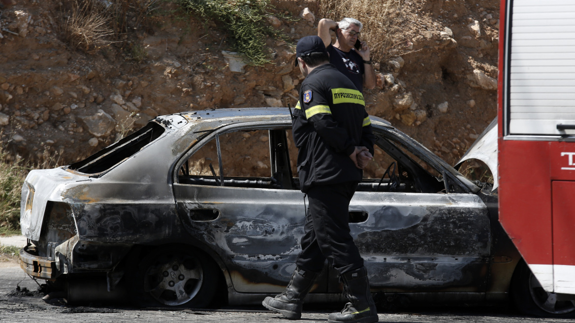 Φθιώτιδα: Σκύλος δάγκωσε πυροσβέστη την ώρα που έσβηνε φωτιά! 