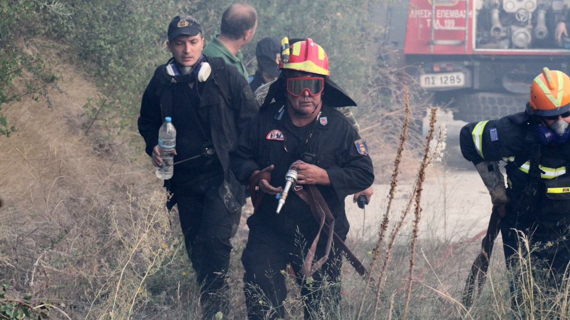 Φωτιά σε δασική έκταση στο Παρανέστι Δράμας