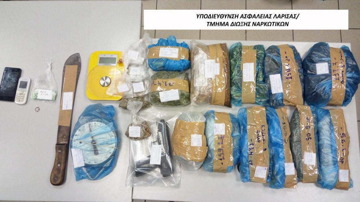 Λάρισα: Συνελήφθησαν δύο αδέλφια με χασισοφυτεία και όπλα