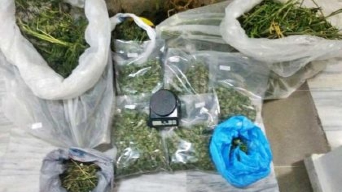 Φυτεία στο Κιλκίς έδωσε πάνω από τέσσερα κιλά χασίς
