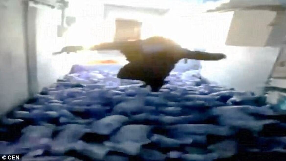 Βαρβαρότητα: Υπέρβαρος αγρότης κάνει «βουτιά» πάνω σε νεογέννητα γουρούνια και σκοτώνει 79