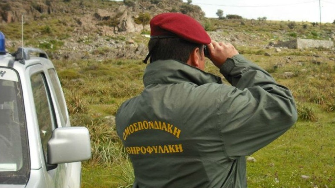 Καλάβρυτα: Το έσκασαν με τα όπλα και το λαγό οι λαθροθήρες