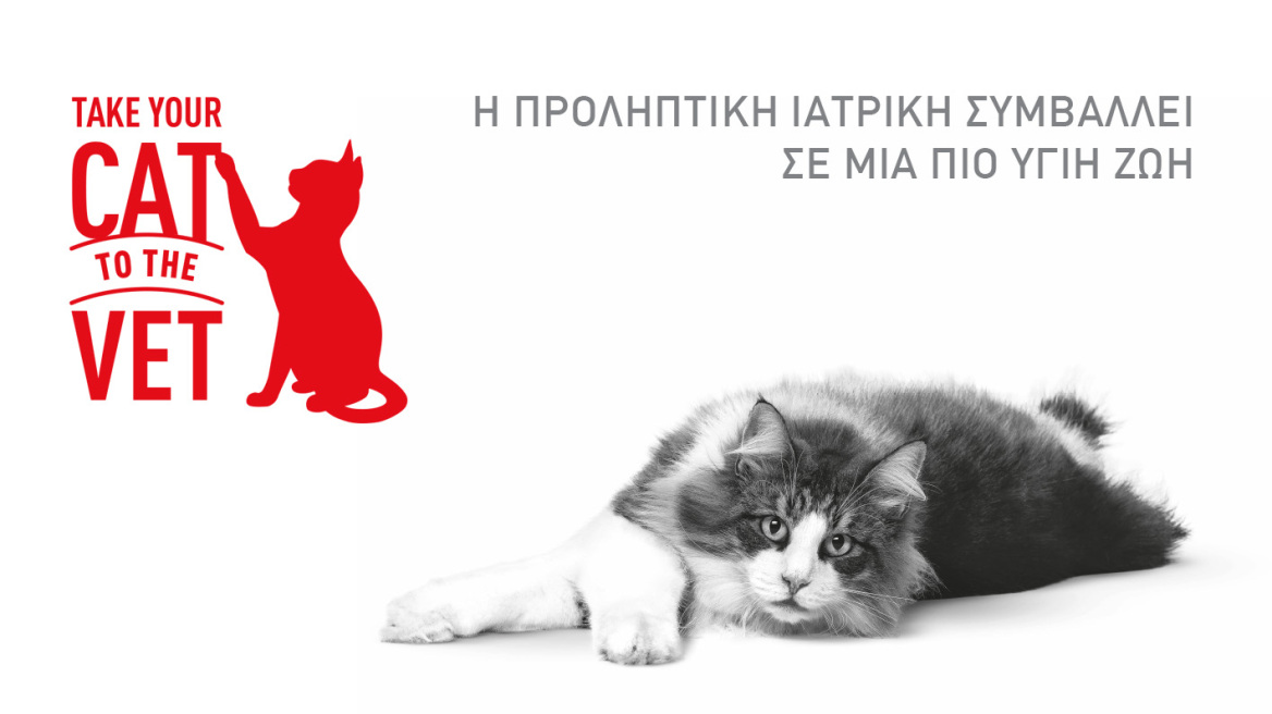 Η Royal Canin παρουσιάζει την πρωτοβουλία “Take Your Cat to the Vet”
