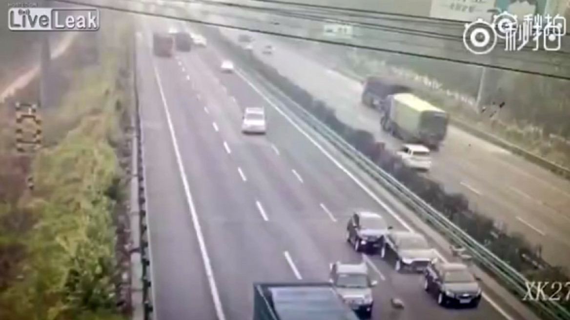 Κατσίκες μπαίνουν σε αυτοκινητόδρομο και προκαλούν... πανικό!