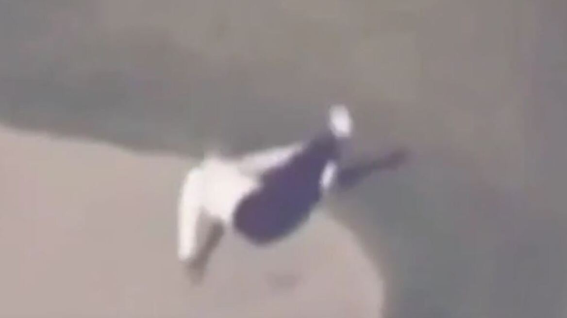 Βίντεο: Η επική τούμπα του Ιάπωνα πρωθυπουργού και η... άγνοια του Τραμπ