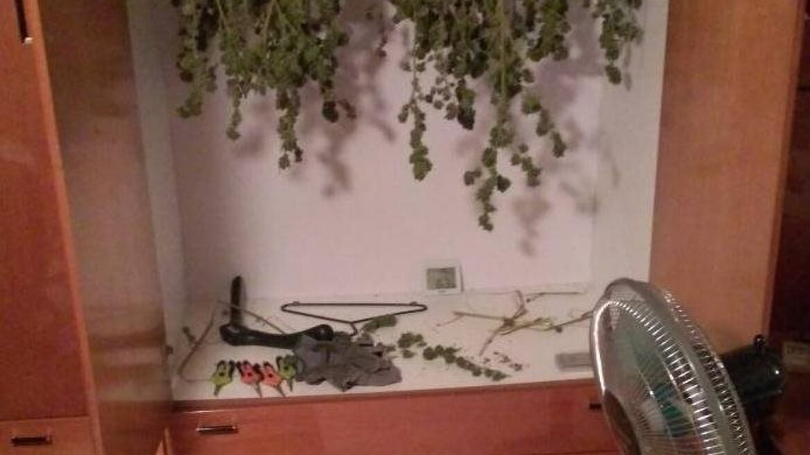 Σέρρες: Στην ντουλάπα αποξήραιναν το χασίς από την φυτεία!