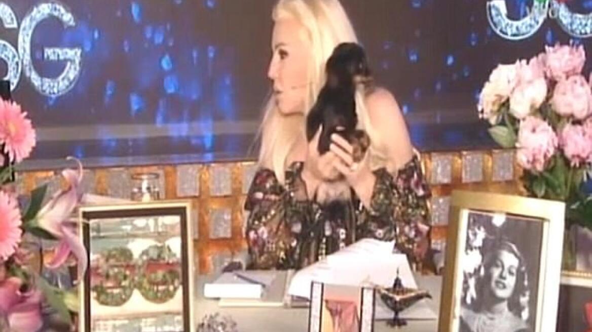 Βίντεο: Σκυλάκι... «τα έκανε» πάνω στην μπλούζα της «Όπρα της Αργεντινής»!