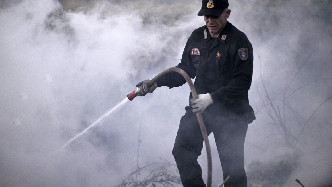 Πυρκαγιά σε ελατοδάσος στα Καλάβρυτα