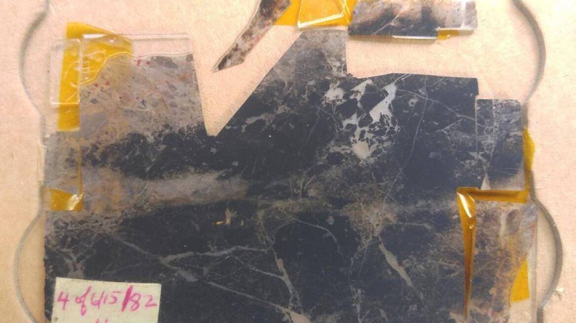 Επιστήμονες βρήκαν την πρώτη μορφή ζωής του πλανήτη σε απολιθώματα 3,5 δισ. ετών!