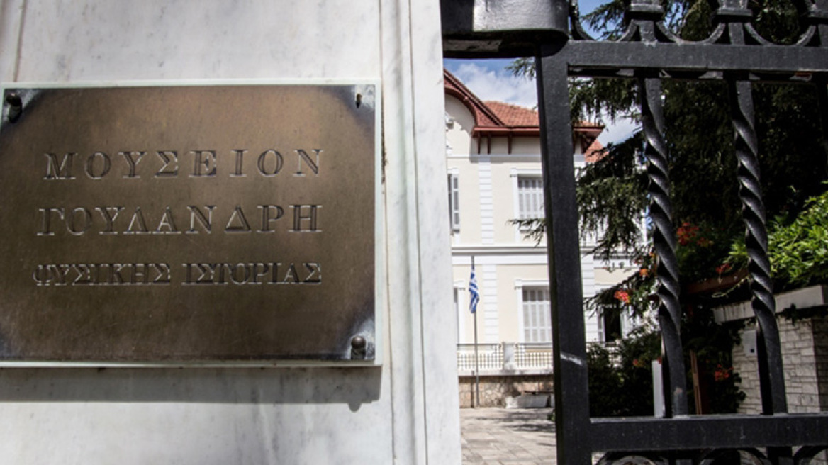 Νεράιδες και Καλικάντζαροι στο Μουσείο Γουλανδρή!