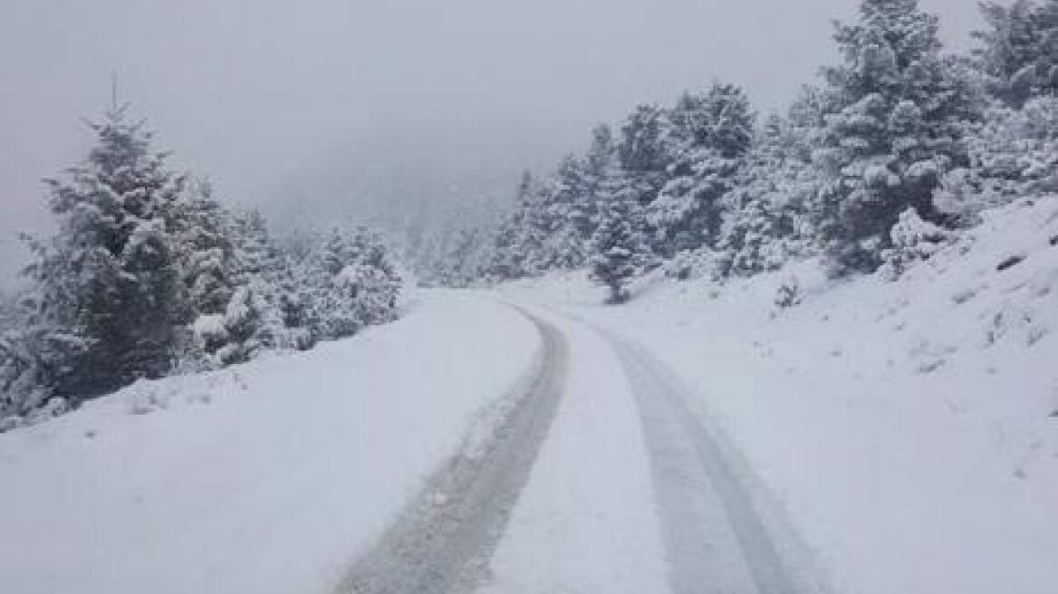 Τραγωδία στην Αχαΐα: Βρήκαν 80χρονη νεκρή, θαμμένη στο χιόνι