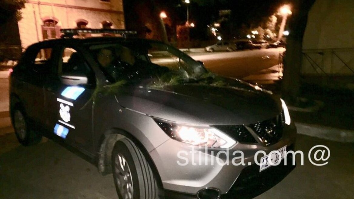 Στυλίδα: Δέντρο ξεριζώθηκε και έπεσε πάνω σε αυτοκίνητο