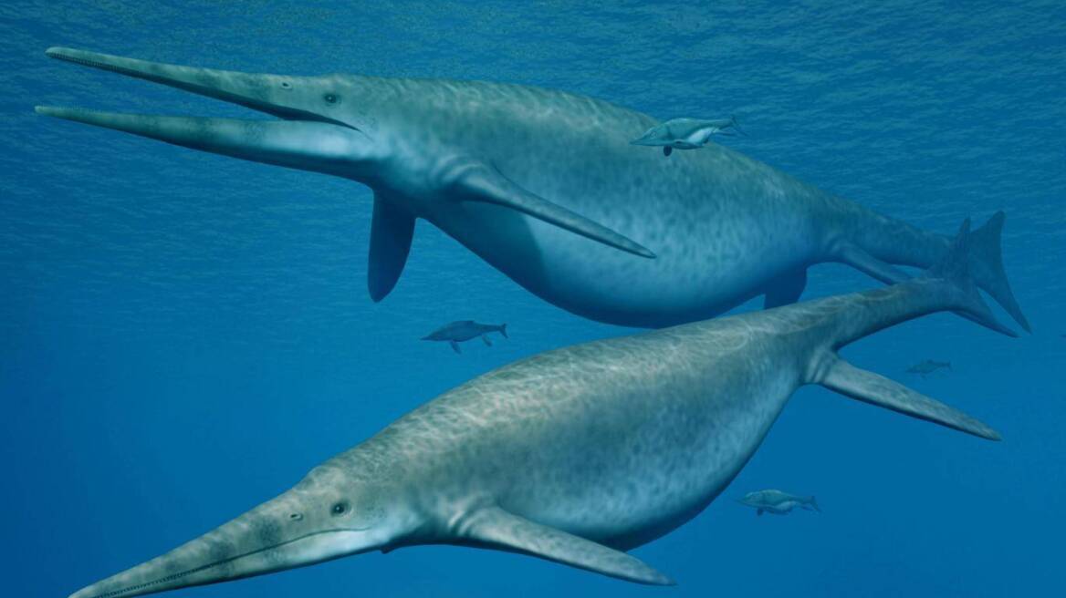 Σημαντική ανακάλυψη: Βρέθηκε οστό γνάθου ιχθυόσαυρου 205 εκατ. ετών