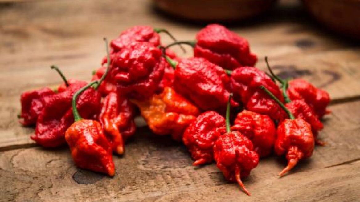 Έφαγε την πιο καυτερή πιπεριά τσίλι στον κόσμο και κατέληξε στα Επείγοντα!