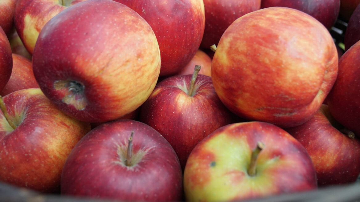  ΗΠΑ: Πρόστιμο 500 δολαρίων σε μια γυναίκα για ένα... δωρεάν μήλο που της έδωσαν σε πτήση