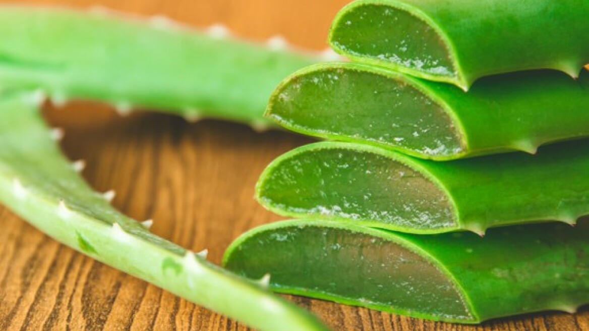 Αξίζει τελικά να πάρεις αλόη;