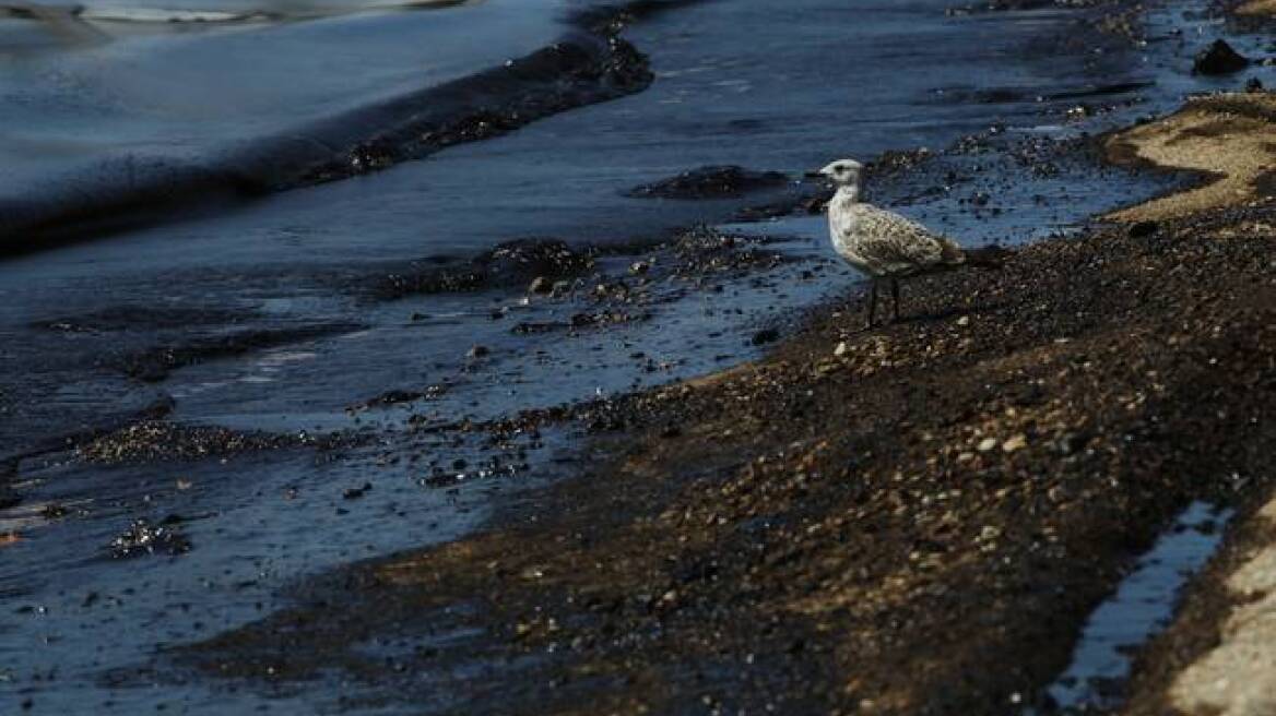 Καθαρός από μαζούτ ο Σαρωνικός, διαβεβαιώνει η κυβέρνηση 