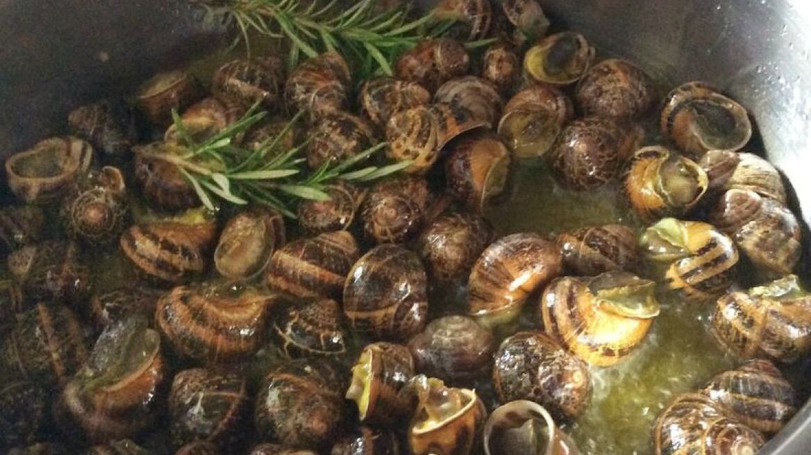 Μάχη στα χωράφια της Κρήτης για τους… χοχλιούς