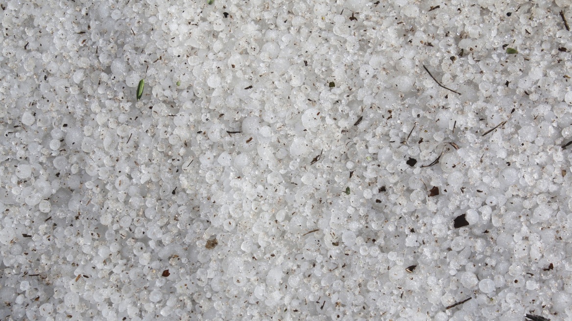 Τρίκαλα - Καρδίτσα: Μεγάλες ζημιές από το χαλάζι - Σε απόγνωση οι παραγωγοί