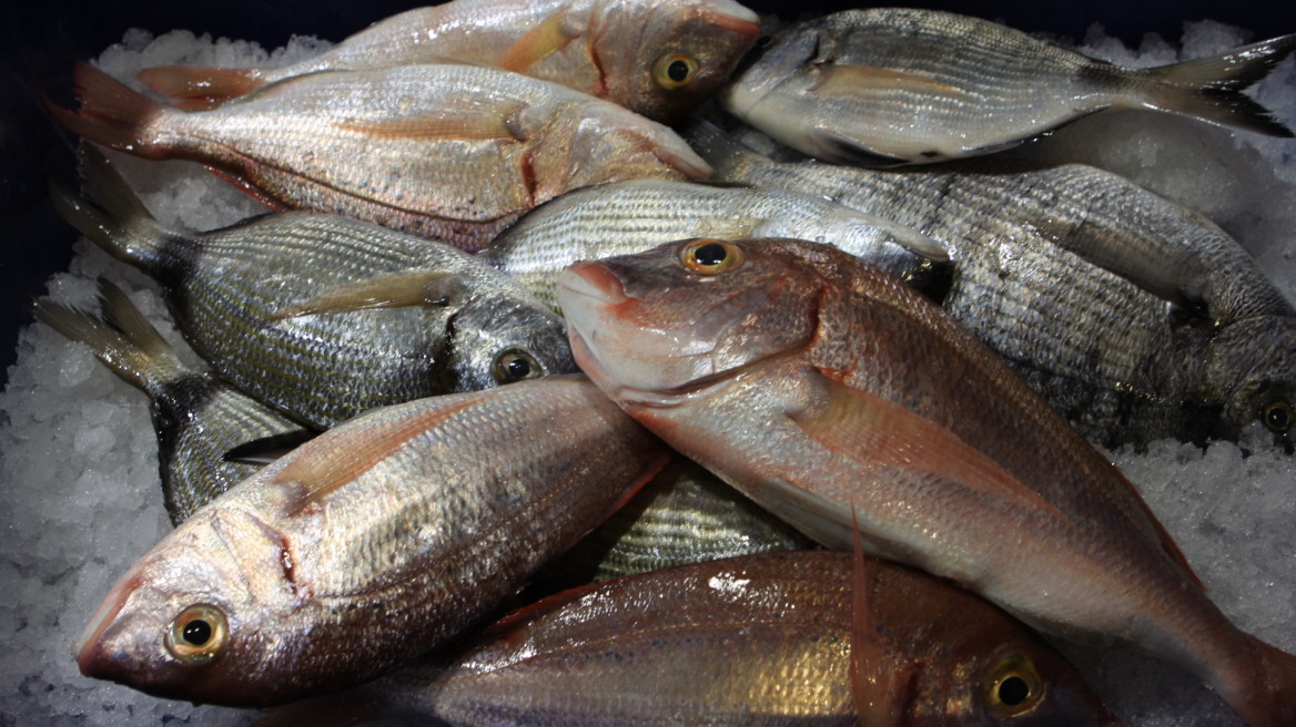 Κατασχέθηκαν 30 κιλά ακατάλληλα ψάρια σε εστιατόρια του Πειραιά  