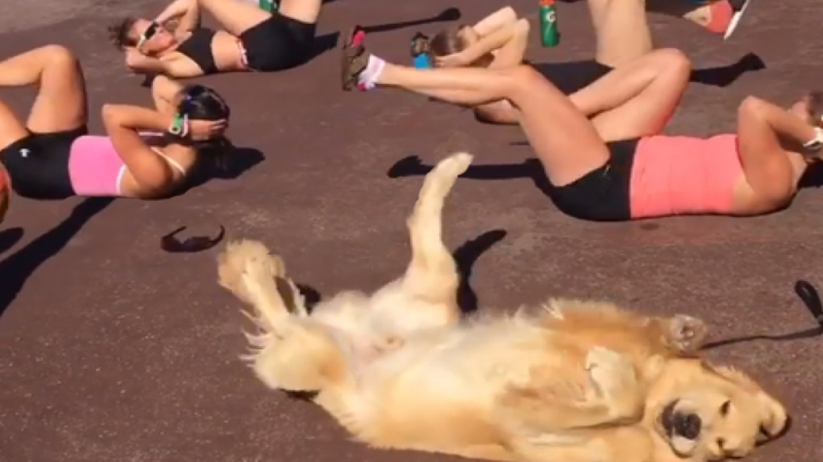 Απίστευτο: Σκύλος γυμνάζεται πλάι σε γυναίκες κάνοντας «ποδήλατο»!