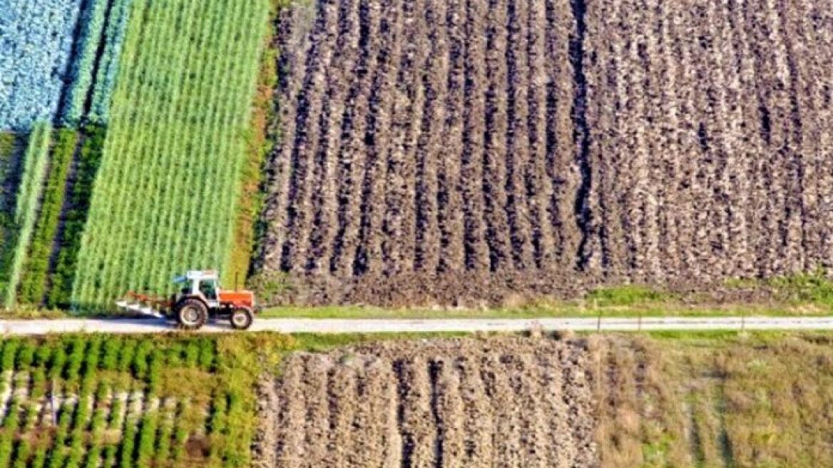 Παράταση μέχρι τις 18 Ιουλίου για υποβολή αντιρρήσεων στους δασικούς χάρτες