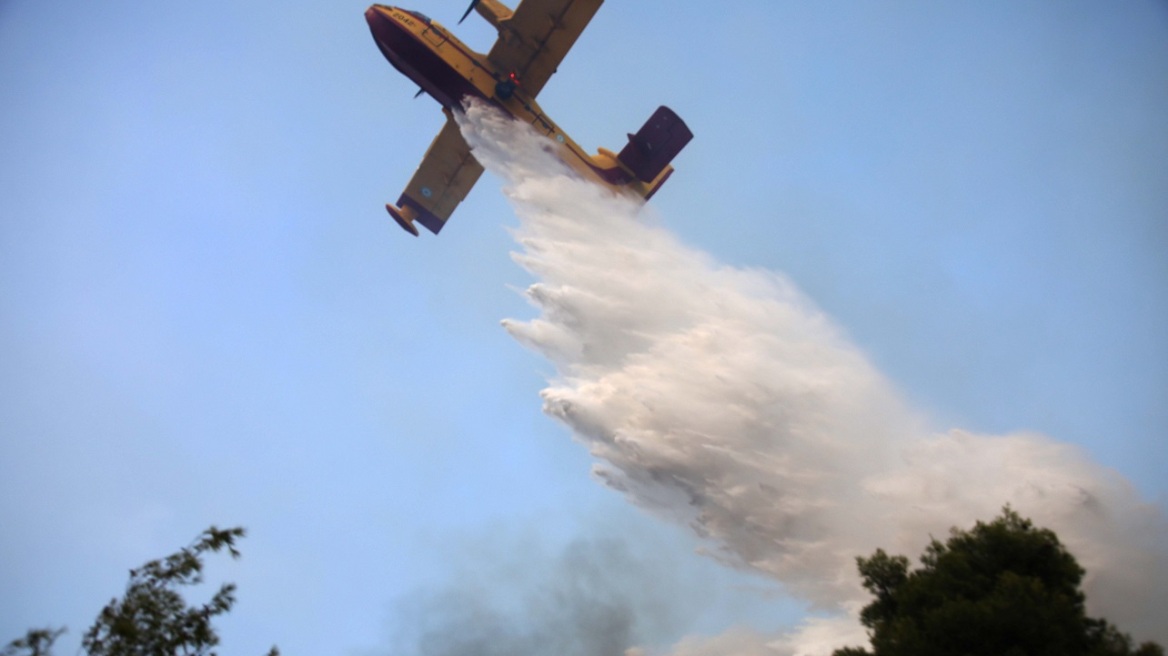 Πυρκαγιά κοντά στη Μονή Χιλανδαρίου του Αγίου Όρους 