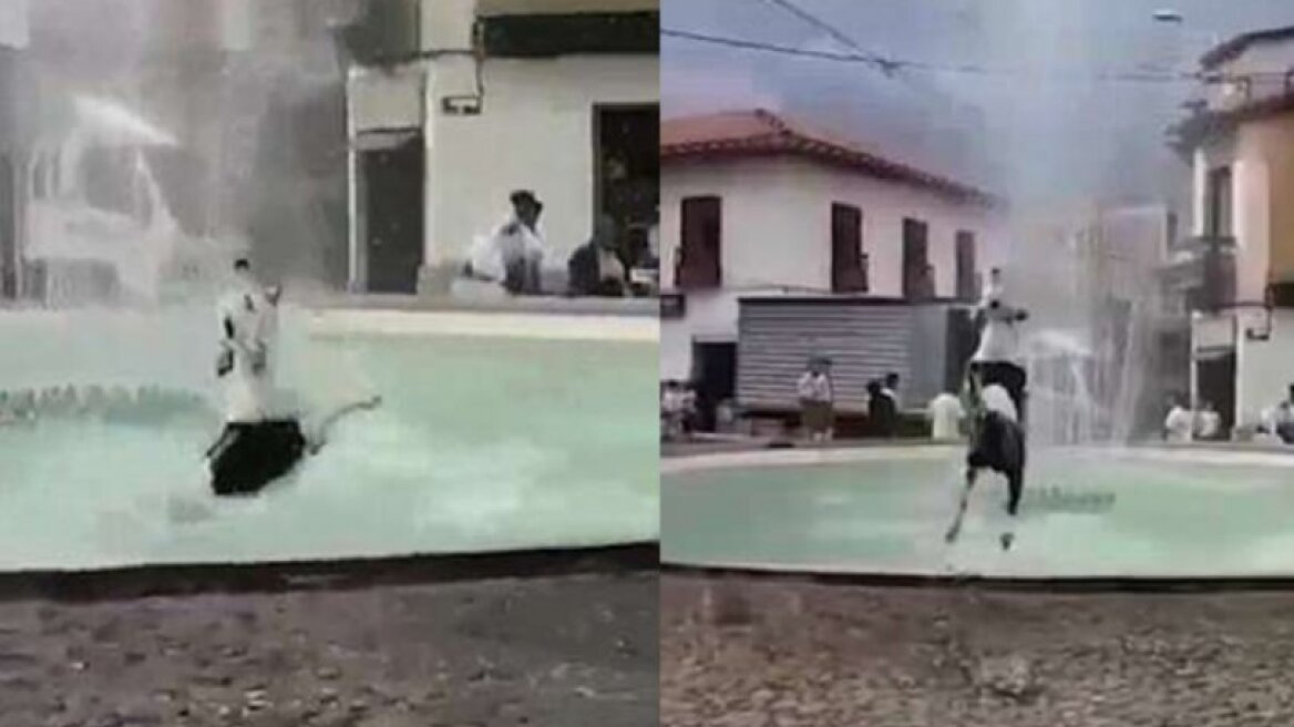 Σκύλος... ζει τη στιγμή και γίνεται viral με 200.000 κοινοποιήσεις (vid)